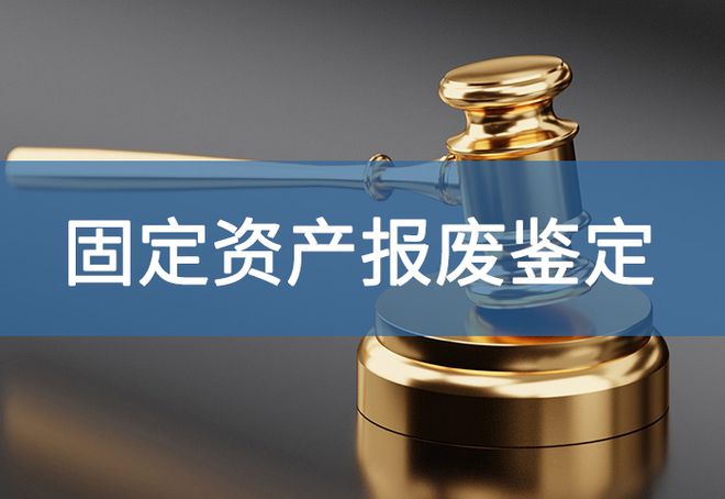 技术鉴定书怎么写-「源鉴鉴定」PP模拟器试玩入口固定资产报废(图3)